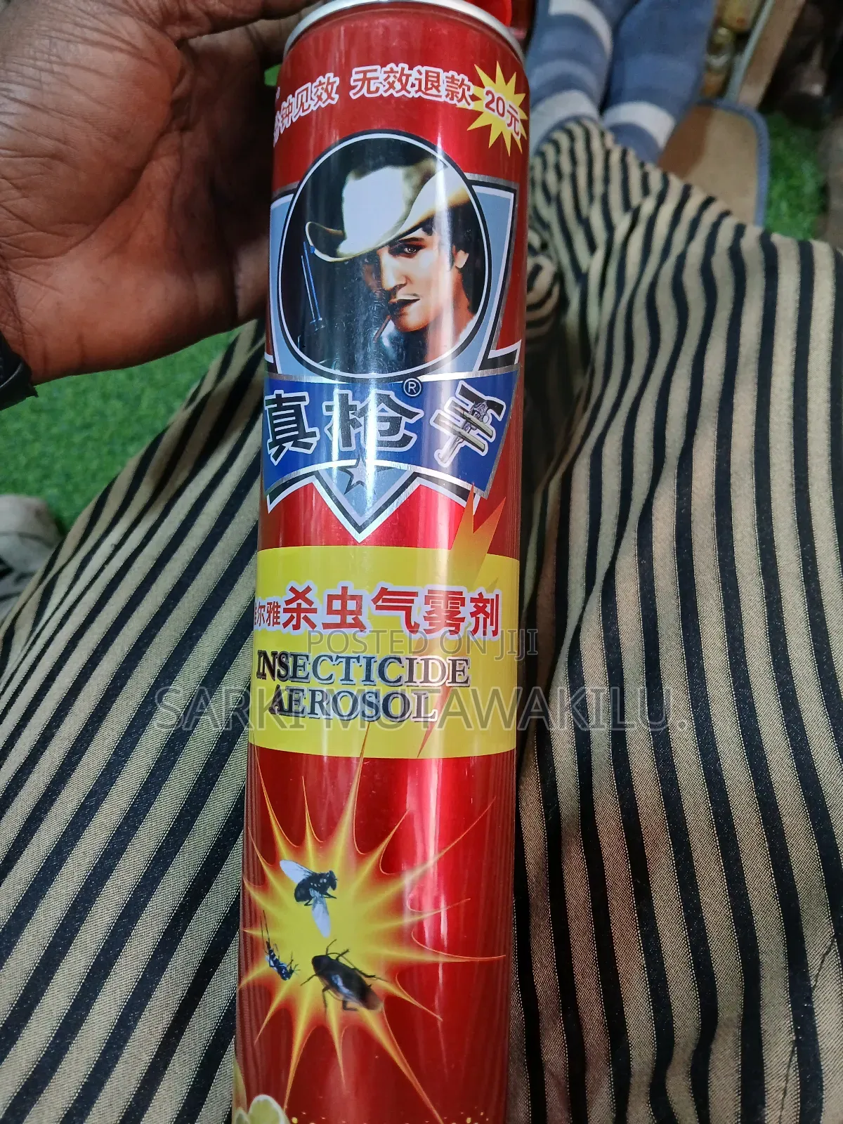 Aerosol Insecticide.