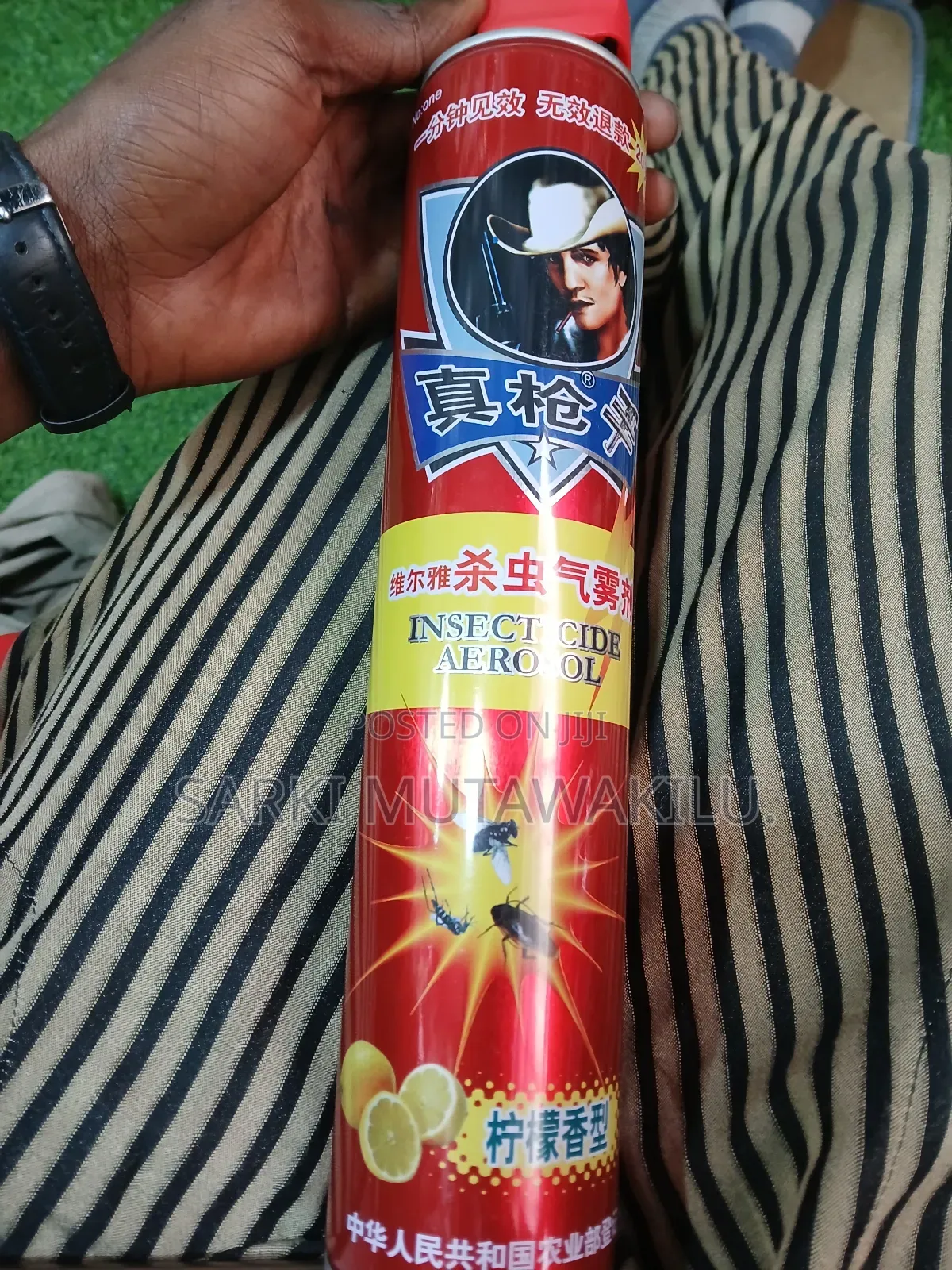 Aerosol Insecticide.