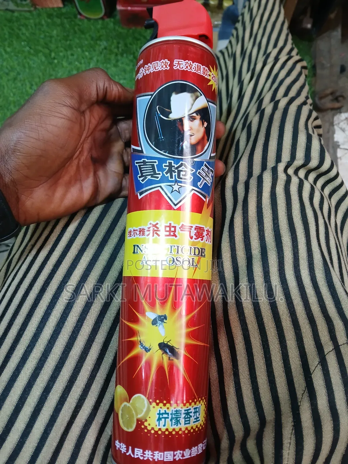 Aerosol Insecticide.