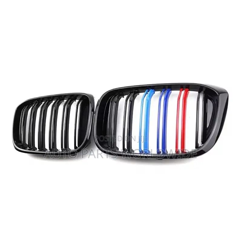 BMW Front Bumper Grill F10,F30,X5,X6