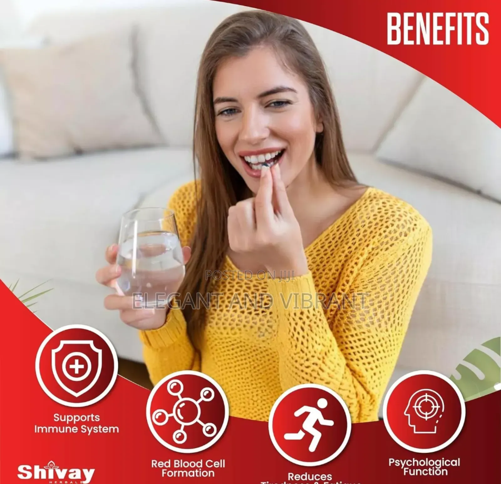 Vitamin B Complex 365, B1 B2 B3 B5 B6 B12 Folic Acid, Biotin
