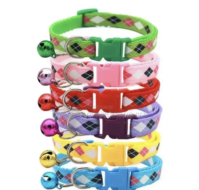 Pet Multicolored Collar