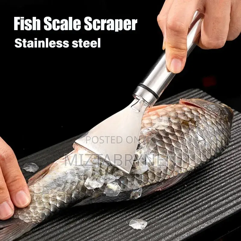 Stainless Steel Fish Scale Remover