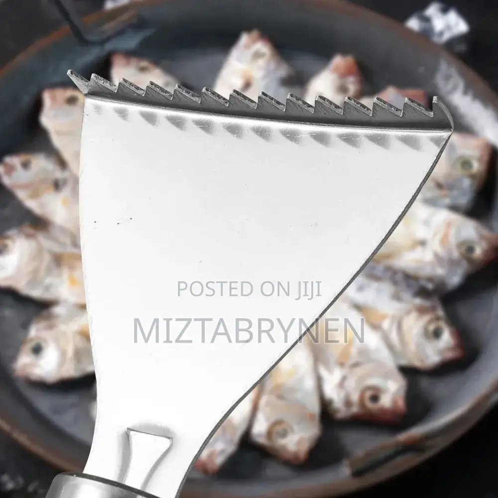 Stainless Steel Fish Scale Remover