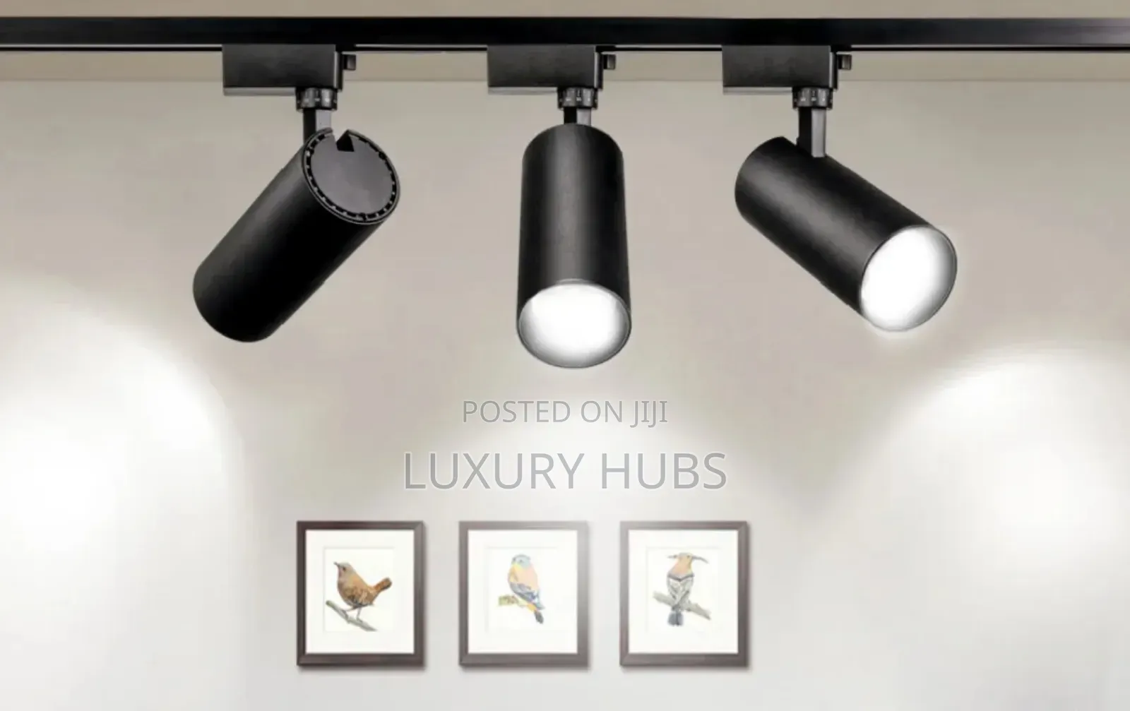 30w Led Track Light (Office and Room Decorations)