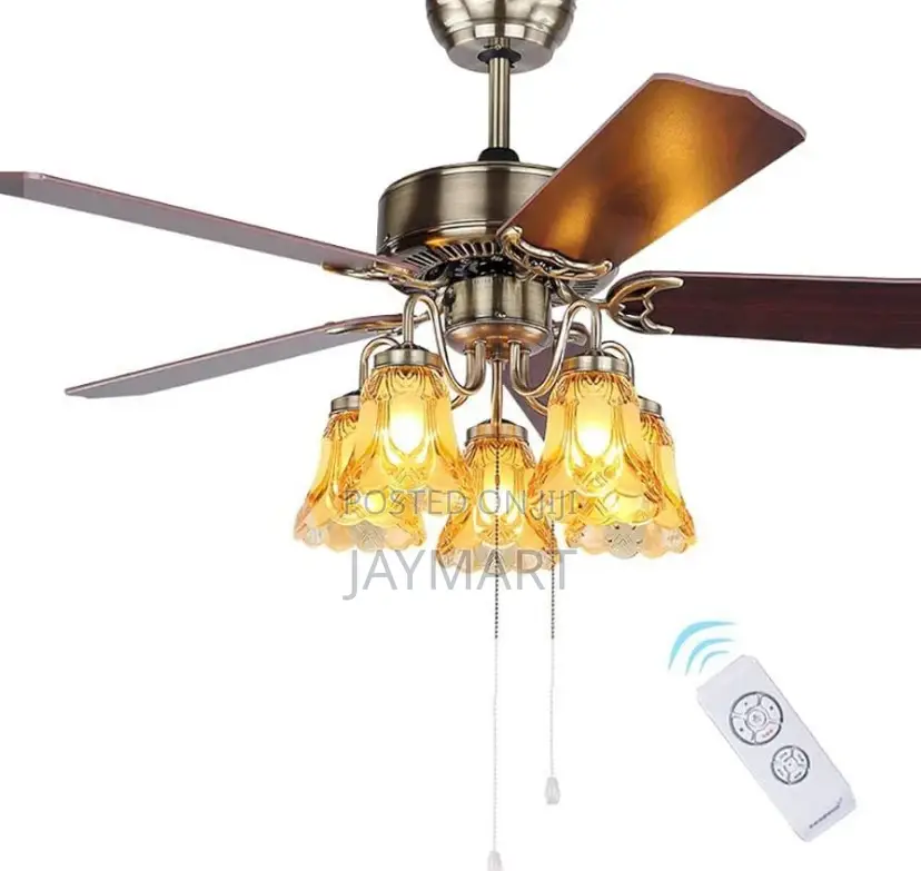 Ceiling Fanlight With Led Bulbs
