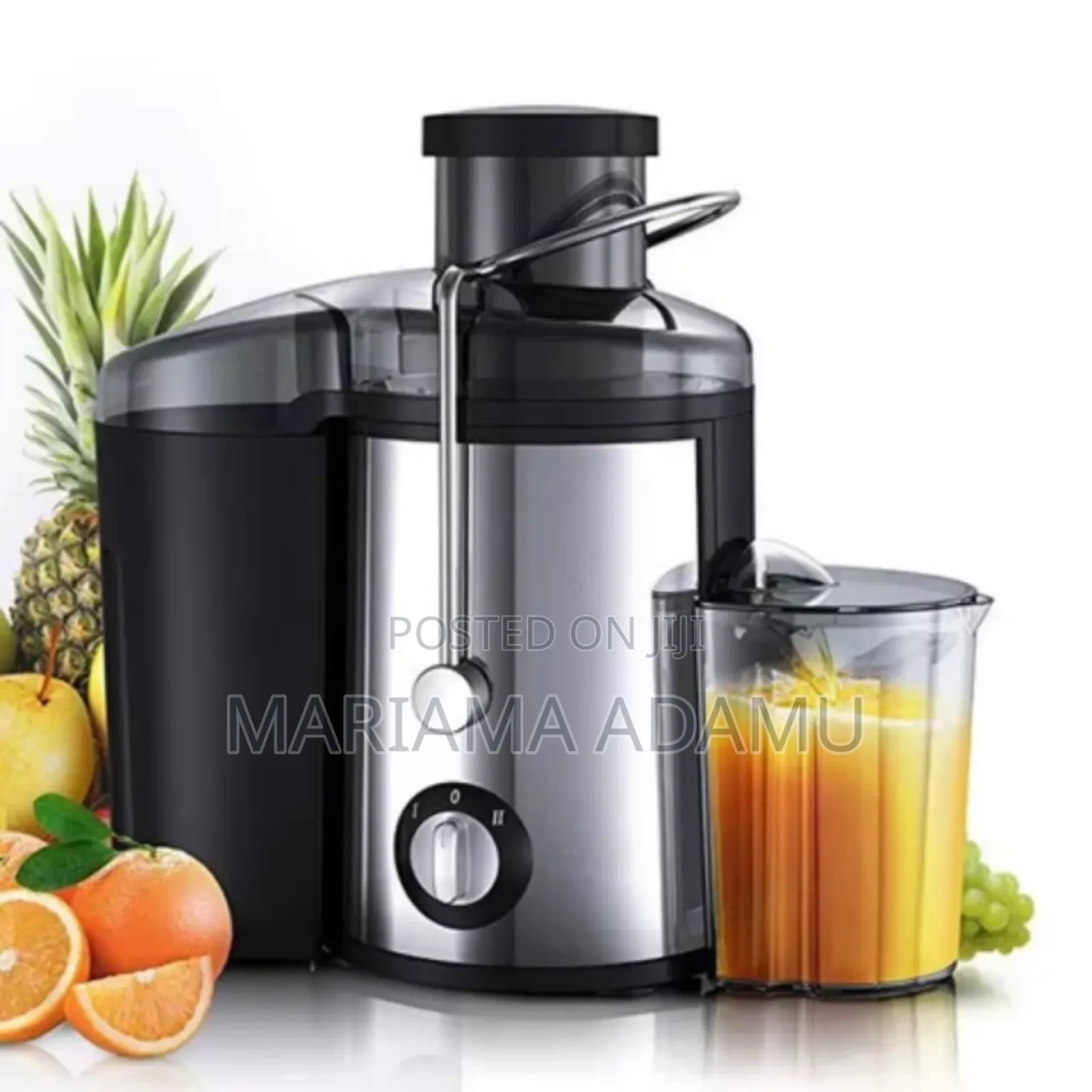 Electric Juicer