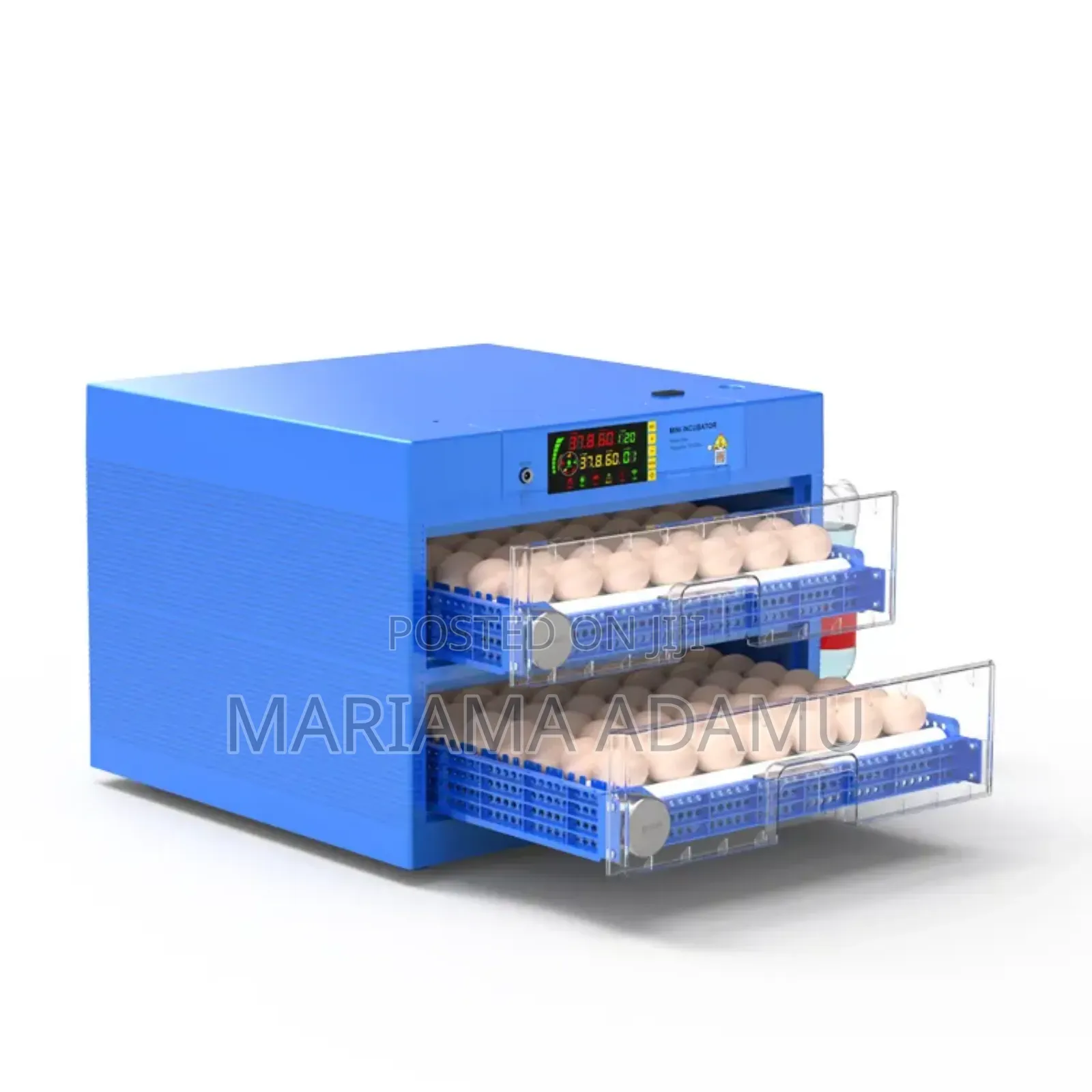 Eggs Incubator