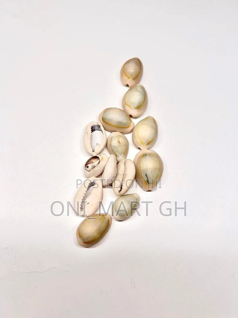 Cowrie Shells/ Sedie