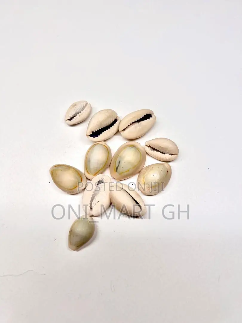 Cowrie Shells/ Sedie