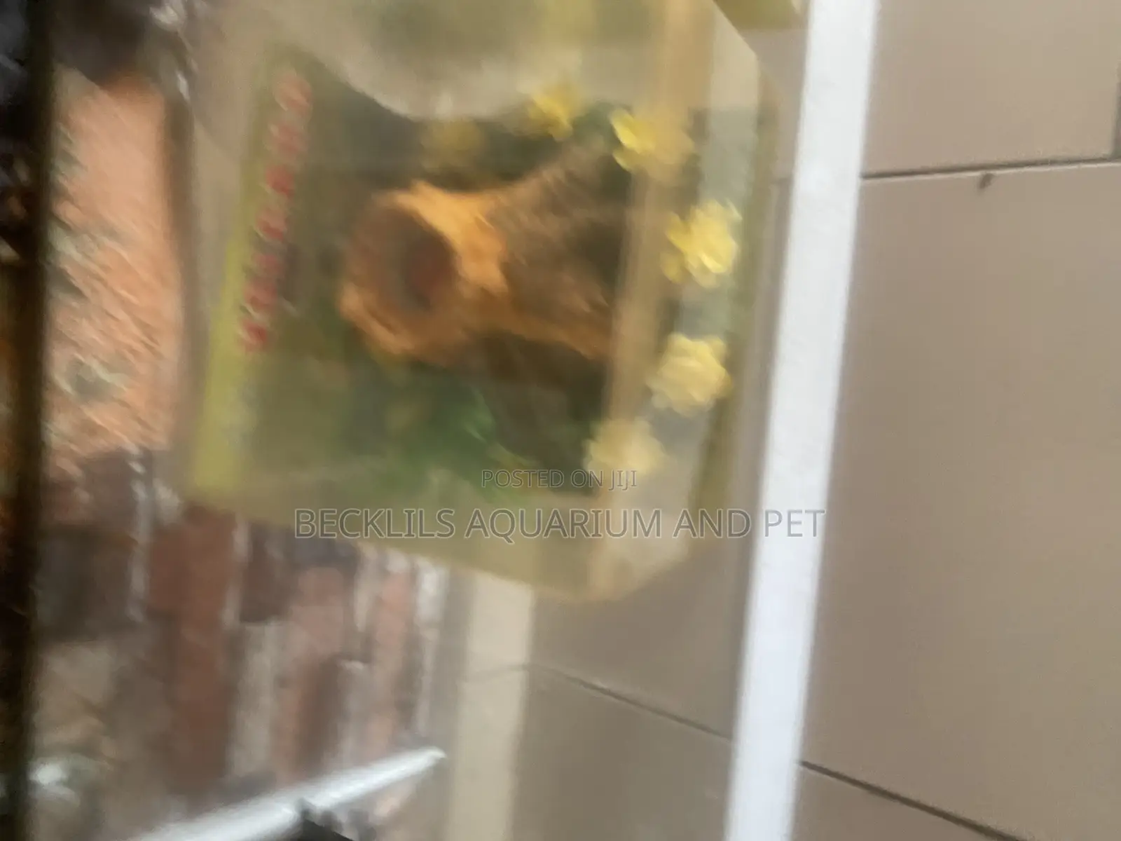 Aquarium Volcano Decor
