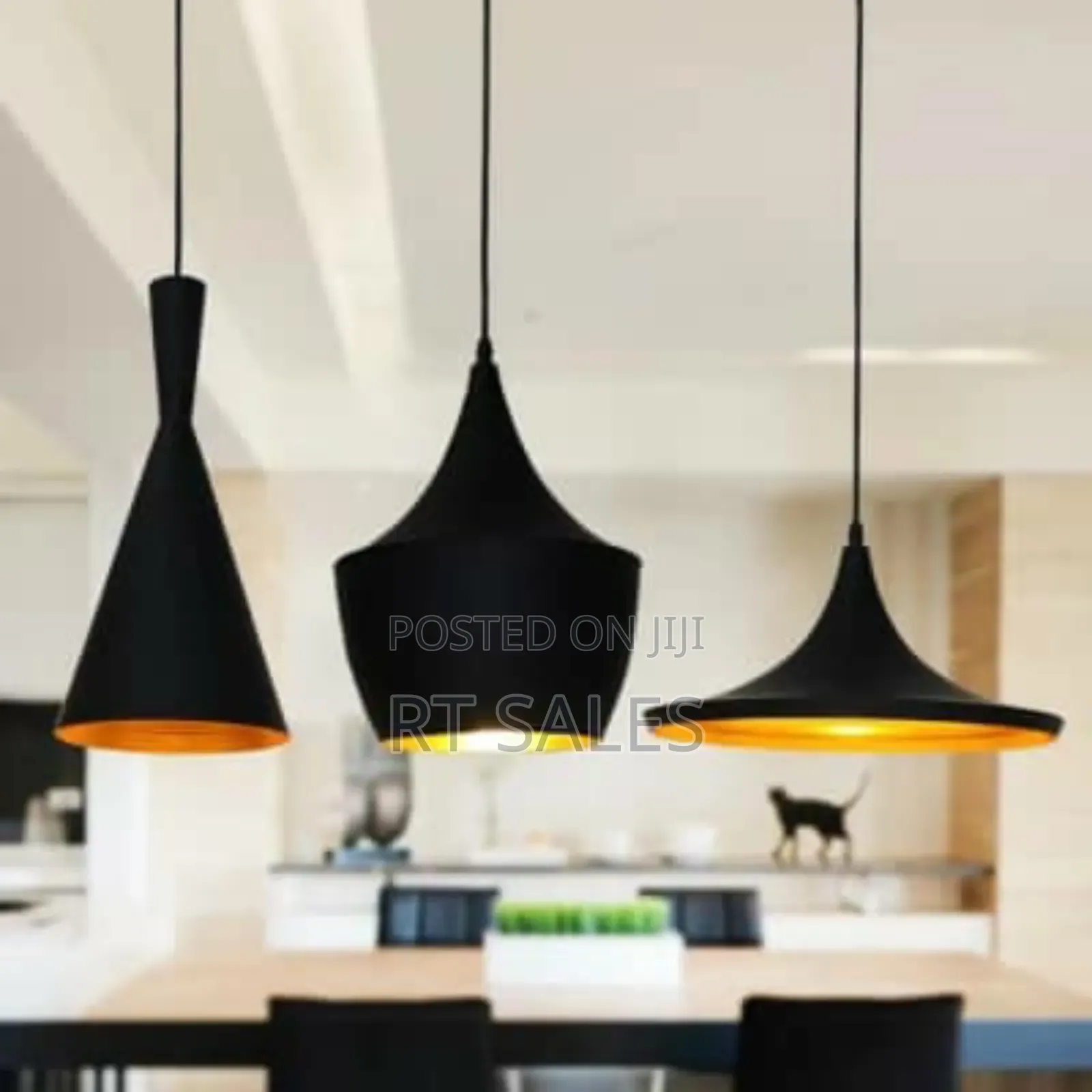 Single Black Pendant Light.