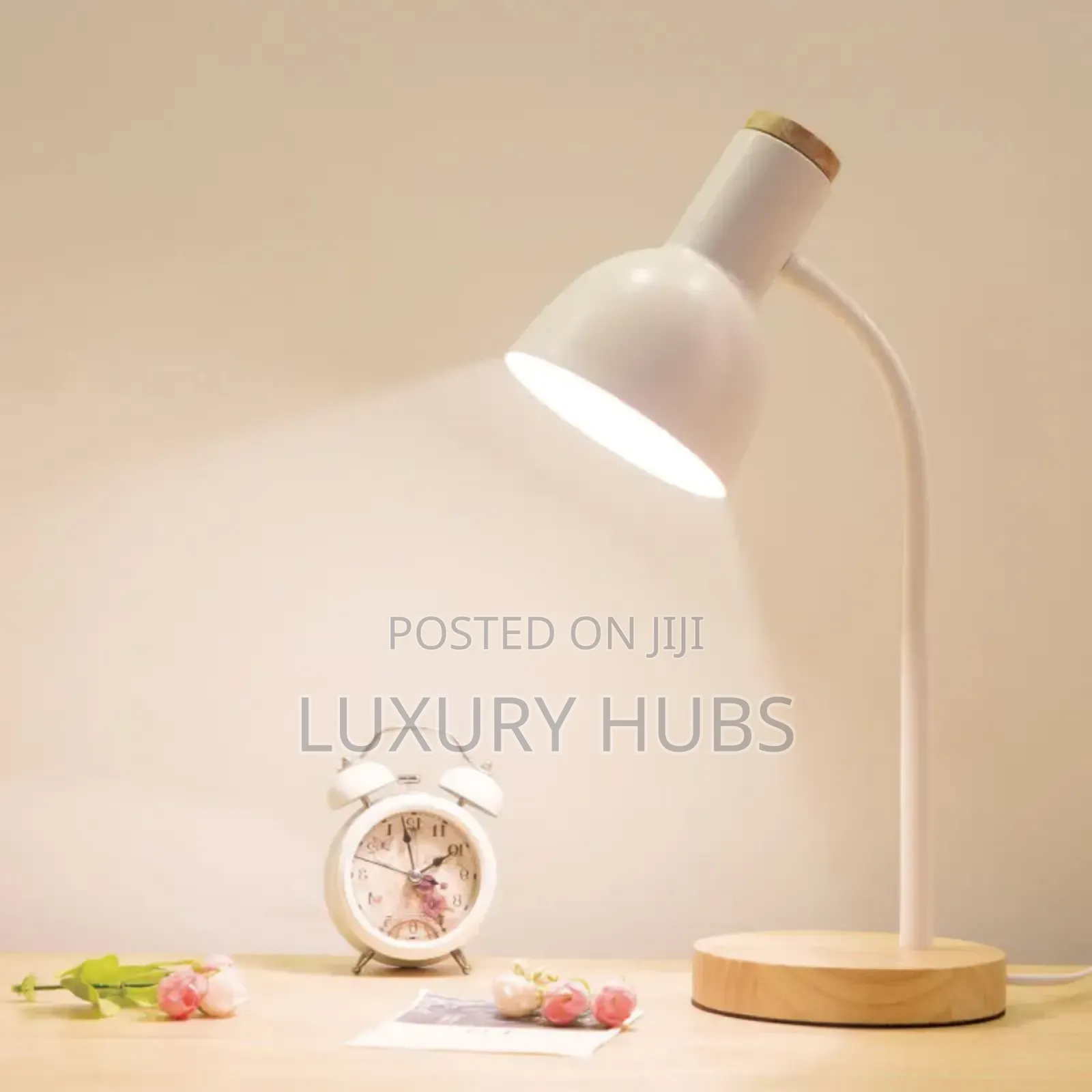 Energy Saving Study Lamp + Bulb