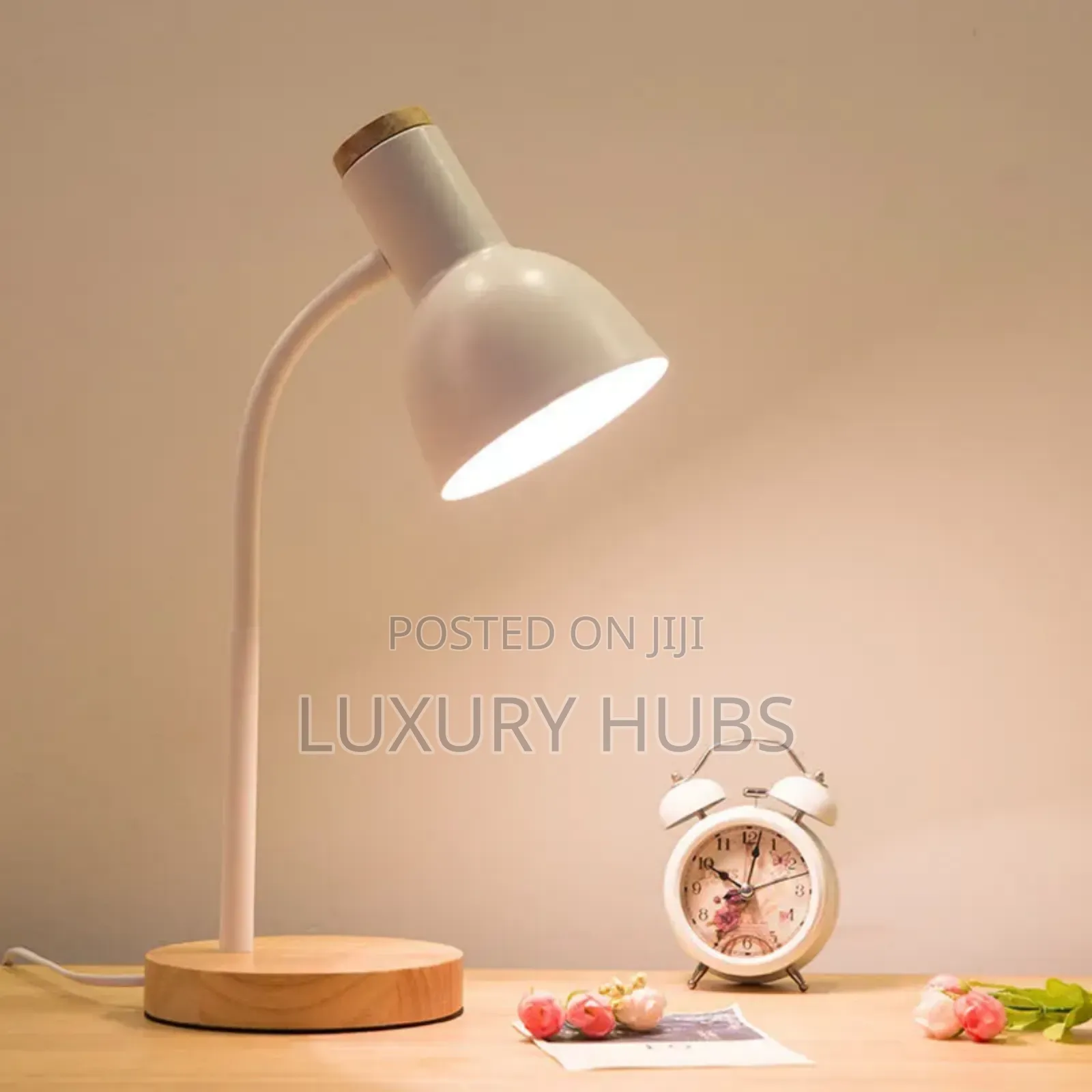 Energy Saving Study Lamp + Bulb