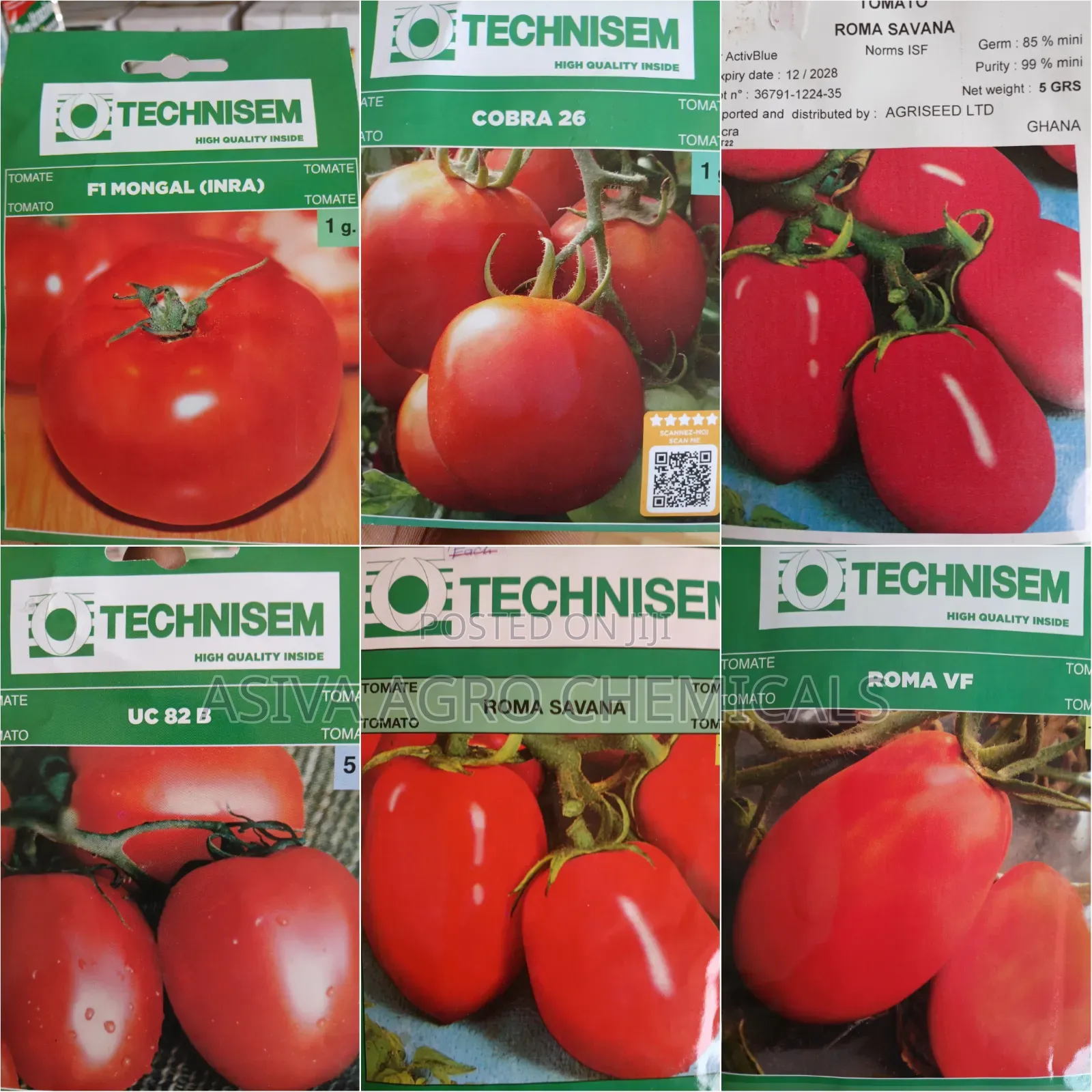 Tomato Seeds