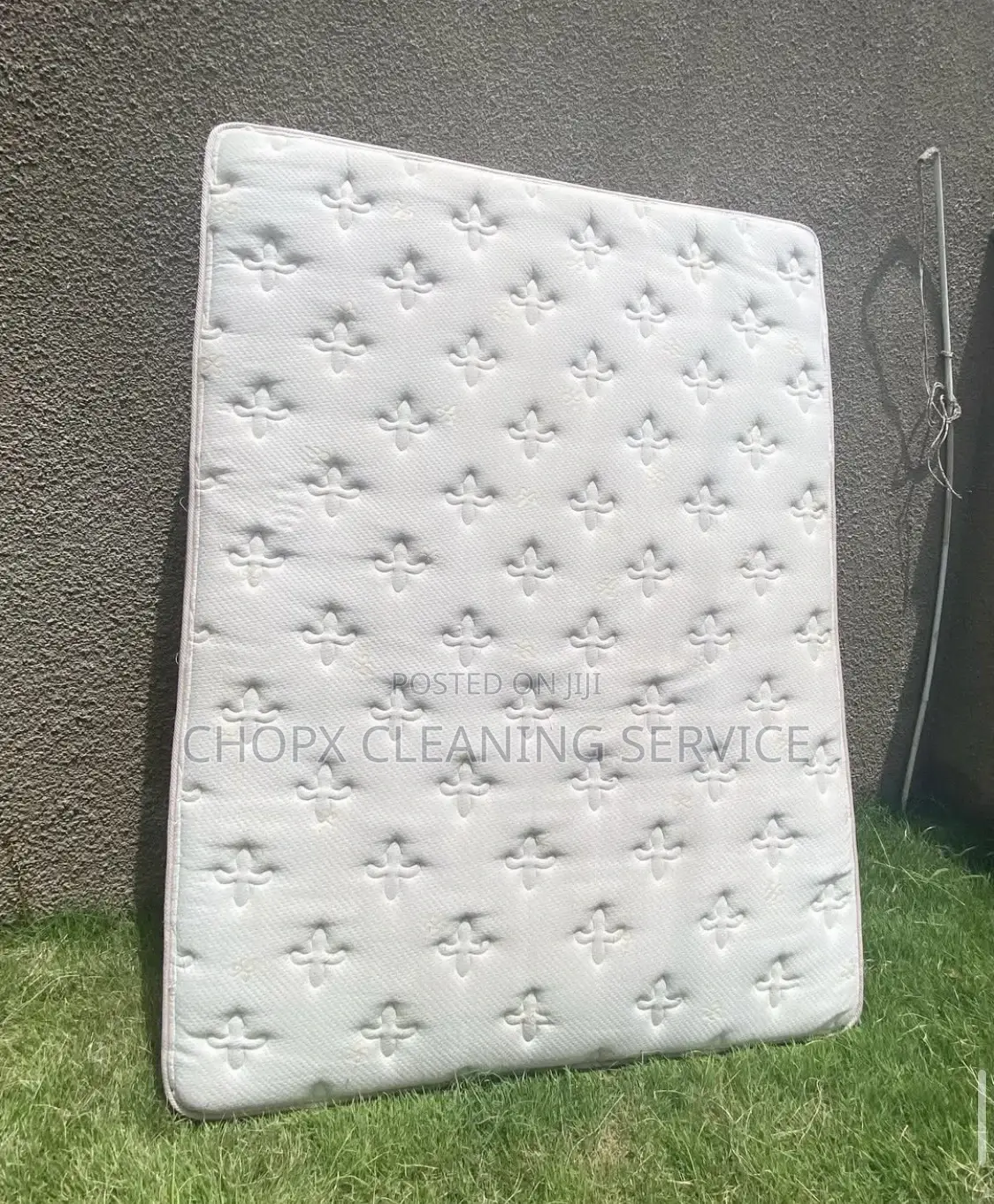 Bed Cleaning