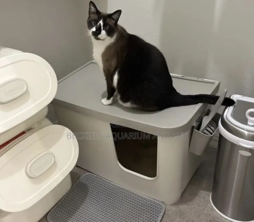 Jumbo Cat Litter Tray