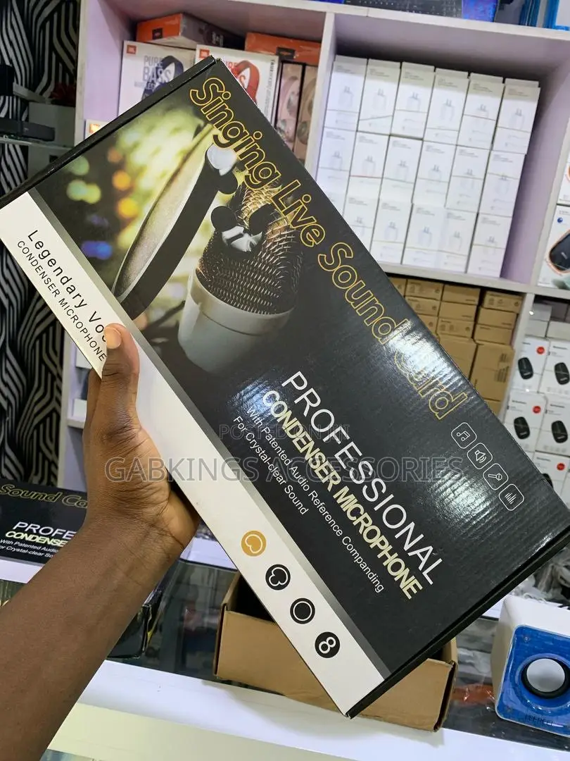Professional Condenser Microphone
