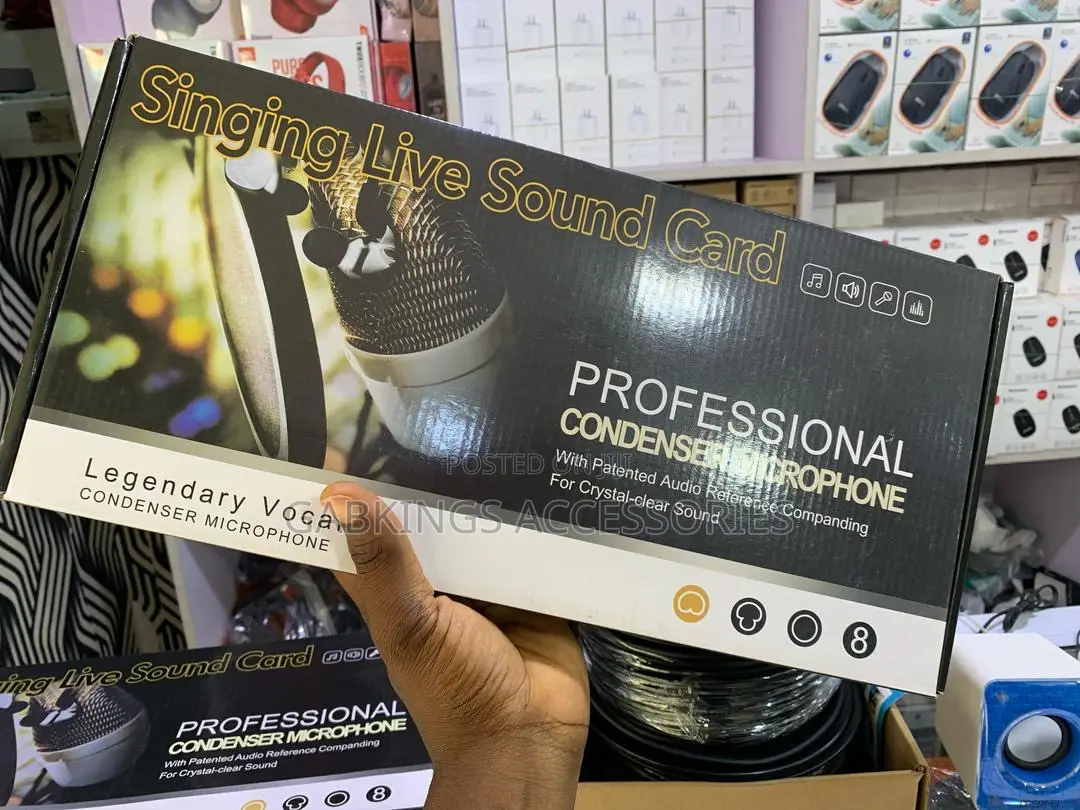 Professional Condenser Microphone