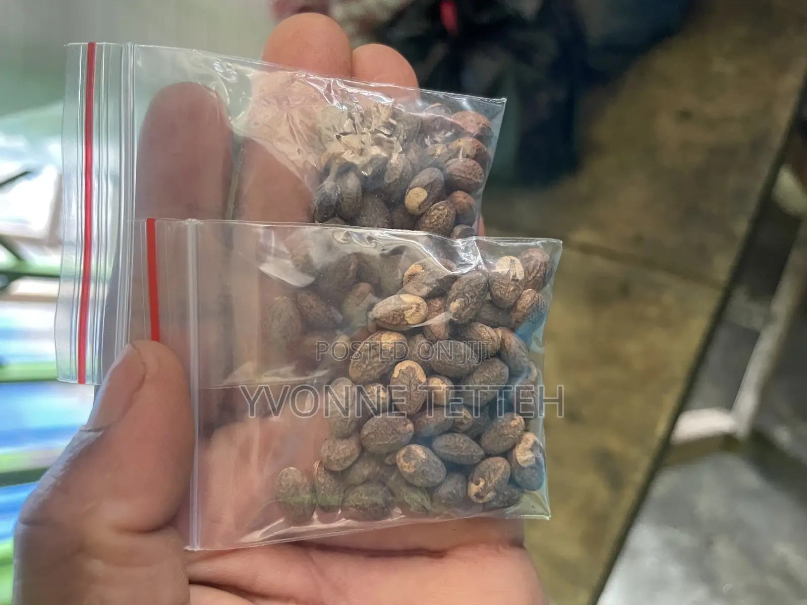Miracle Seed 45pcs
