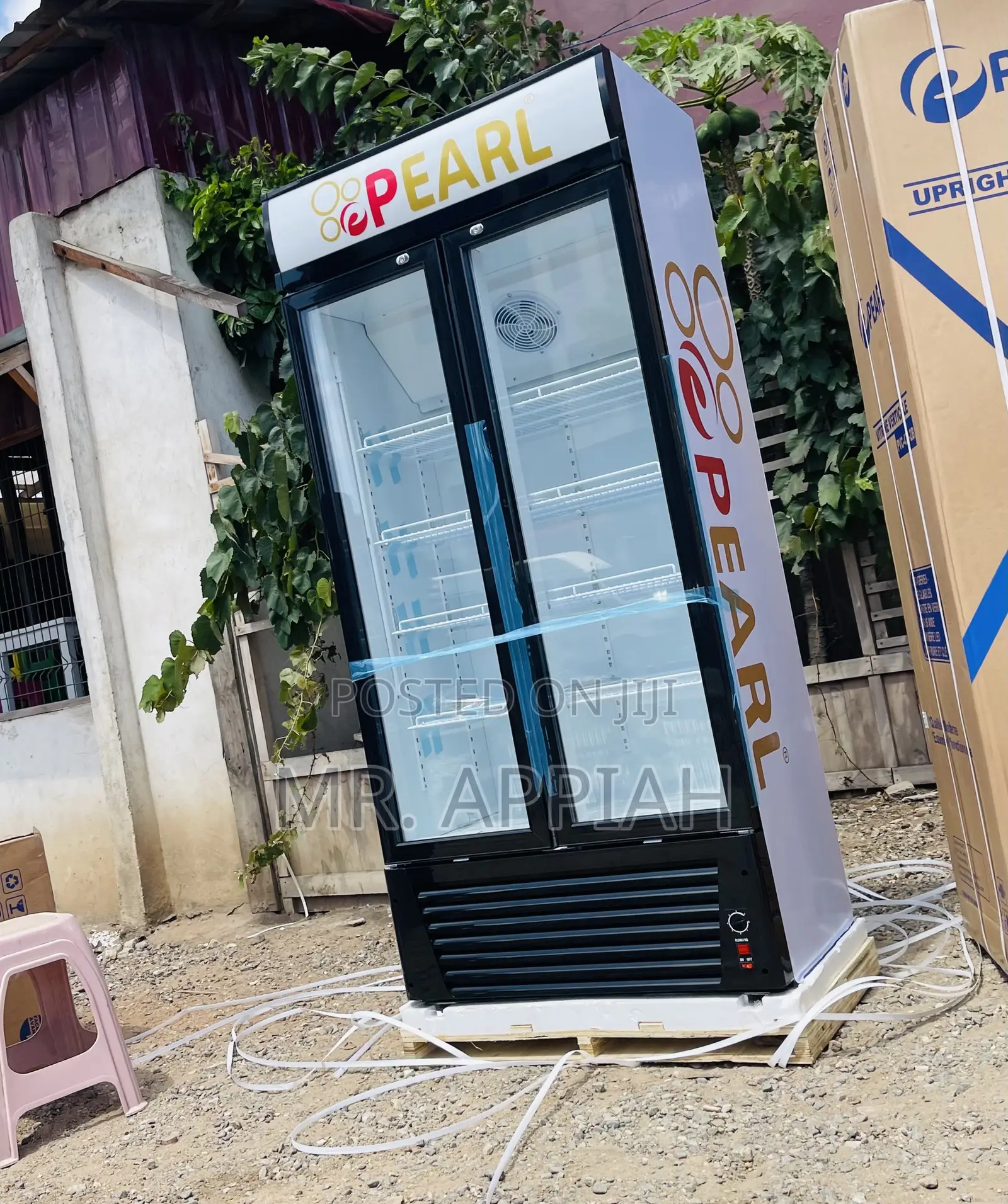 Extremely Cooling Pearl Electric Beverage Cooler(Pvc 622)