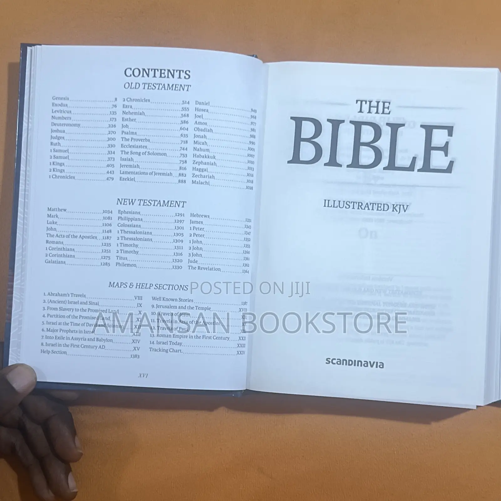 The Illustrated KJV Bible