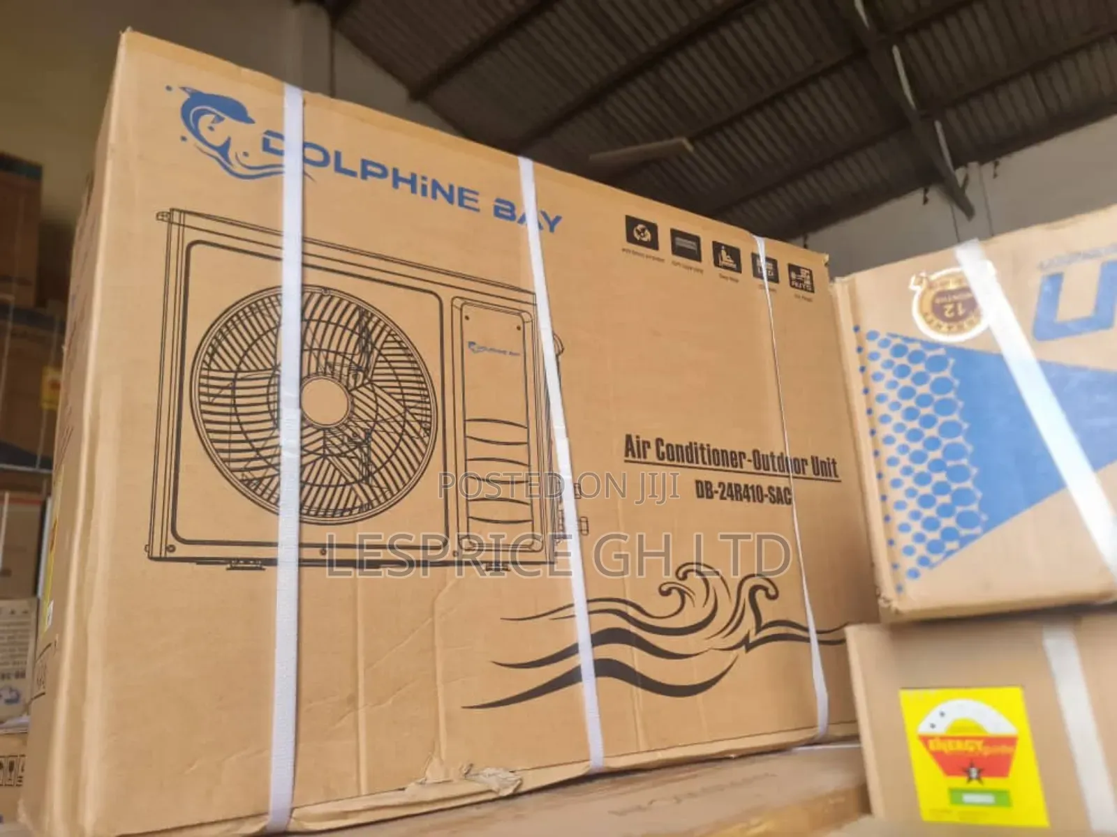 High Powered Dolphin Ac- 2.5hp