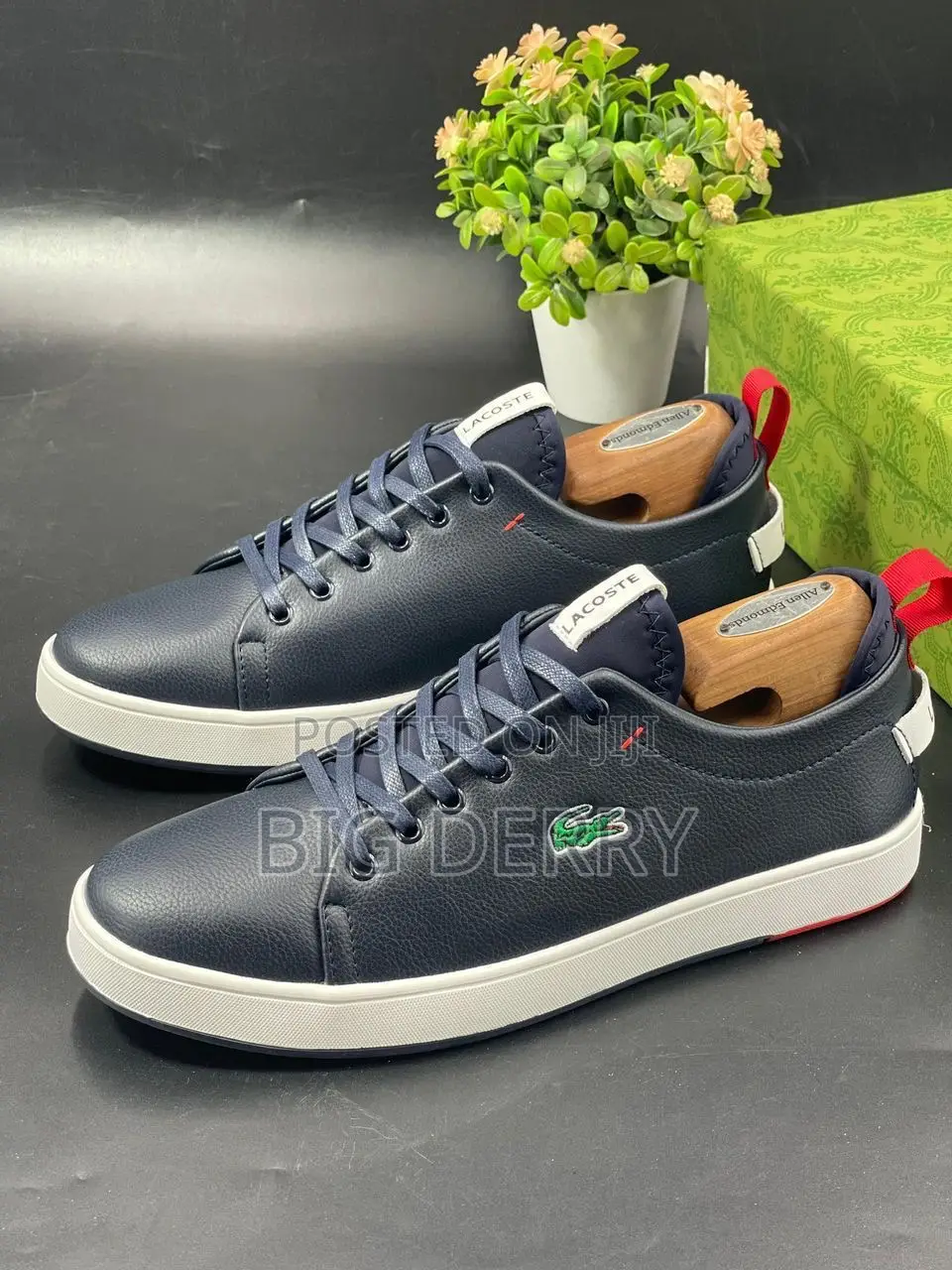 Lacoste Shoe Variety