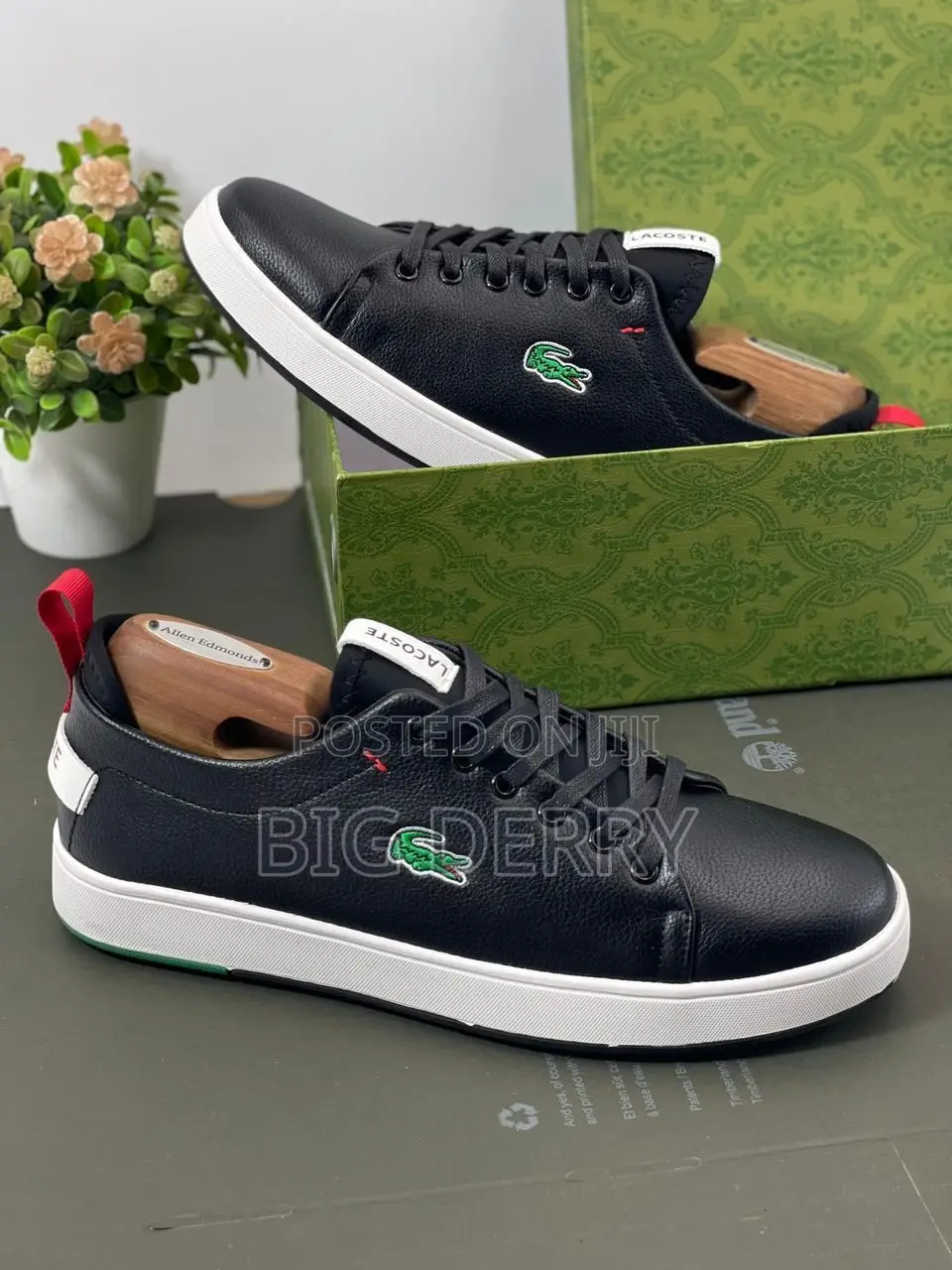 Lacoste Shoe Variety