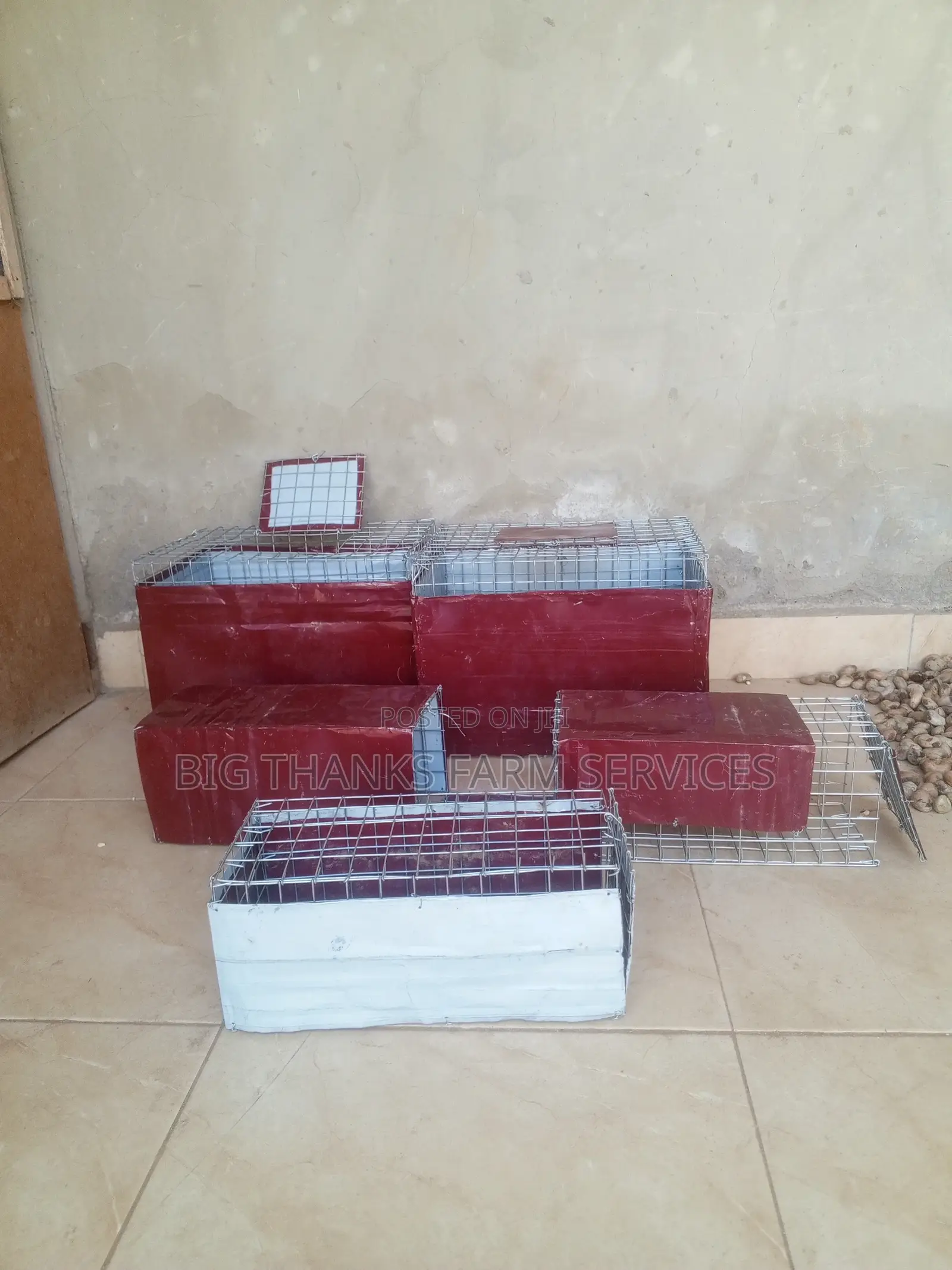 Rabbit/Grasscutter Catching/Transporting  Cages