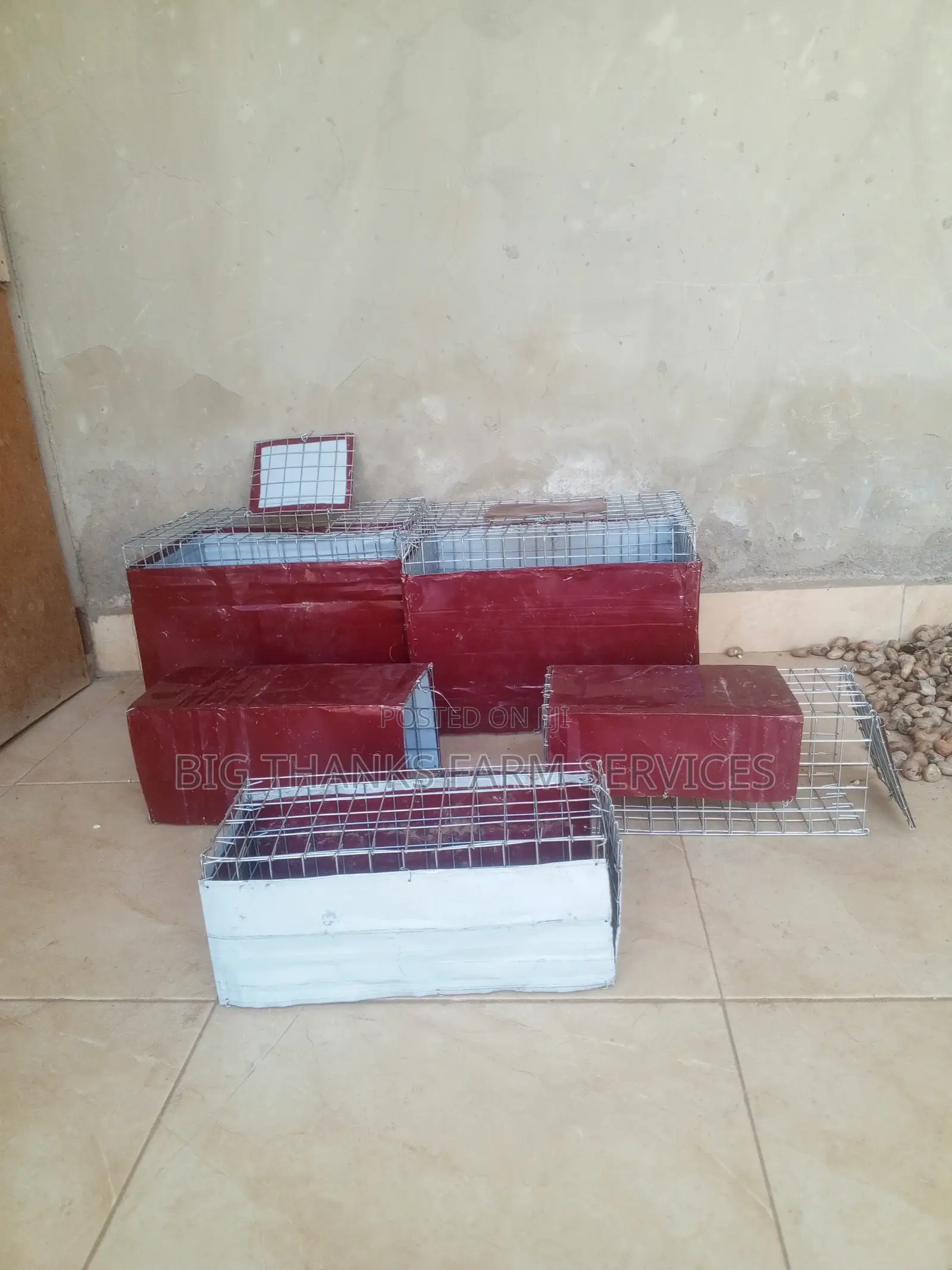 Rabbit/Grasscutter Catching/Transporting  Cages
