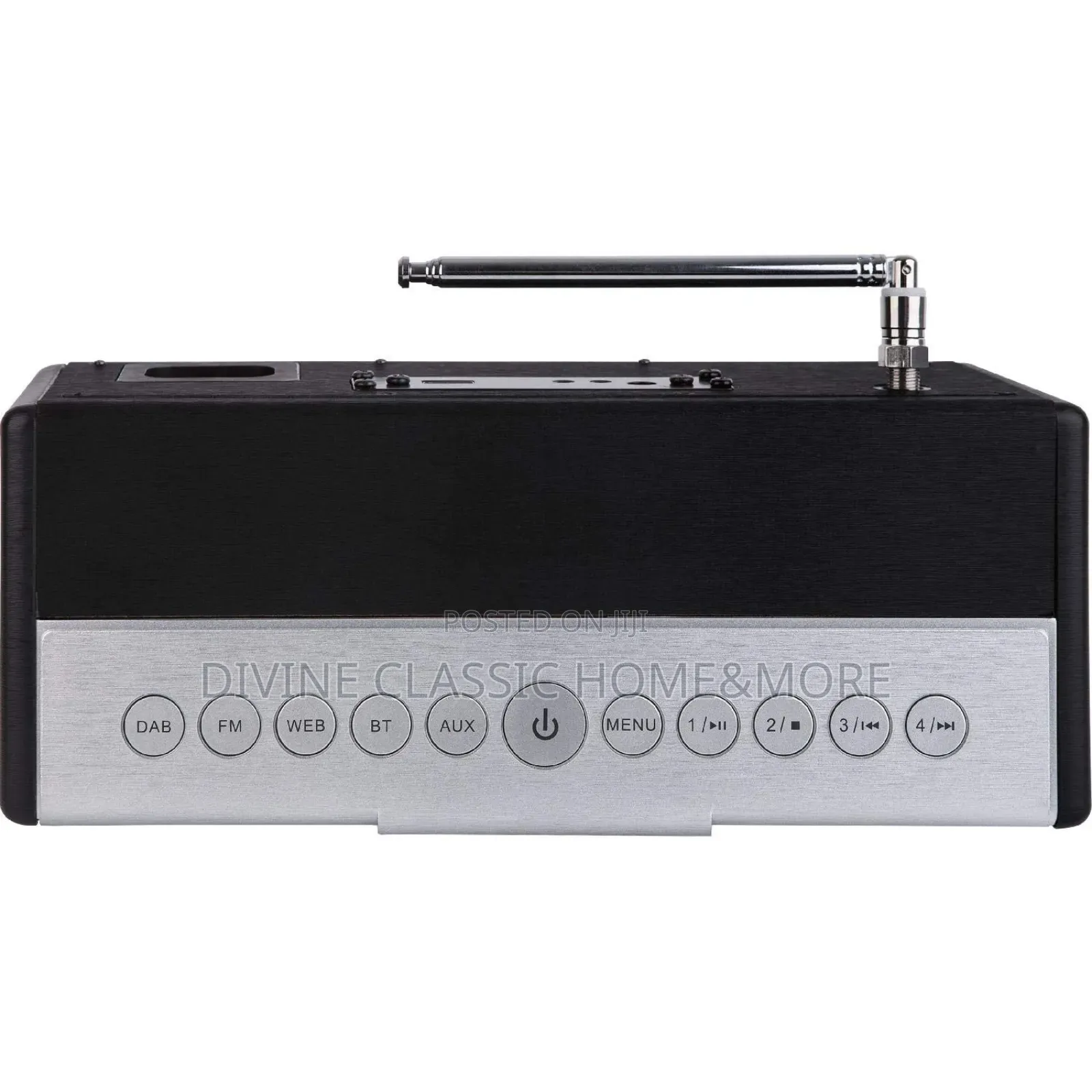 Telestar S 20i Internet Radio/ Fm/Dab+