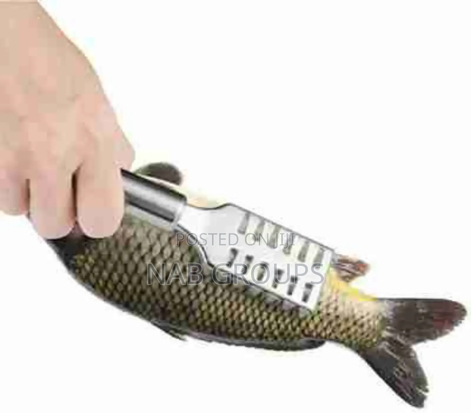 Fish Scale Remover