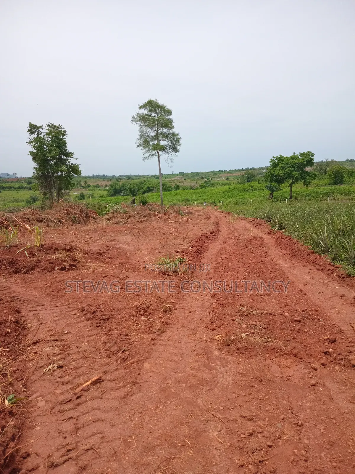 Land for Sale at Kasoa Akraman Town