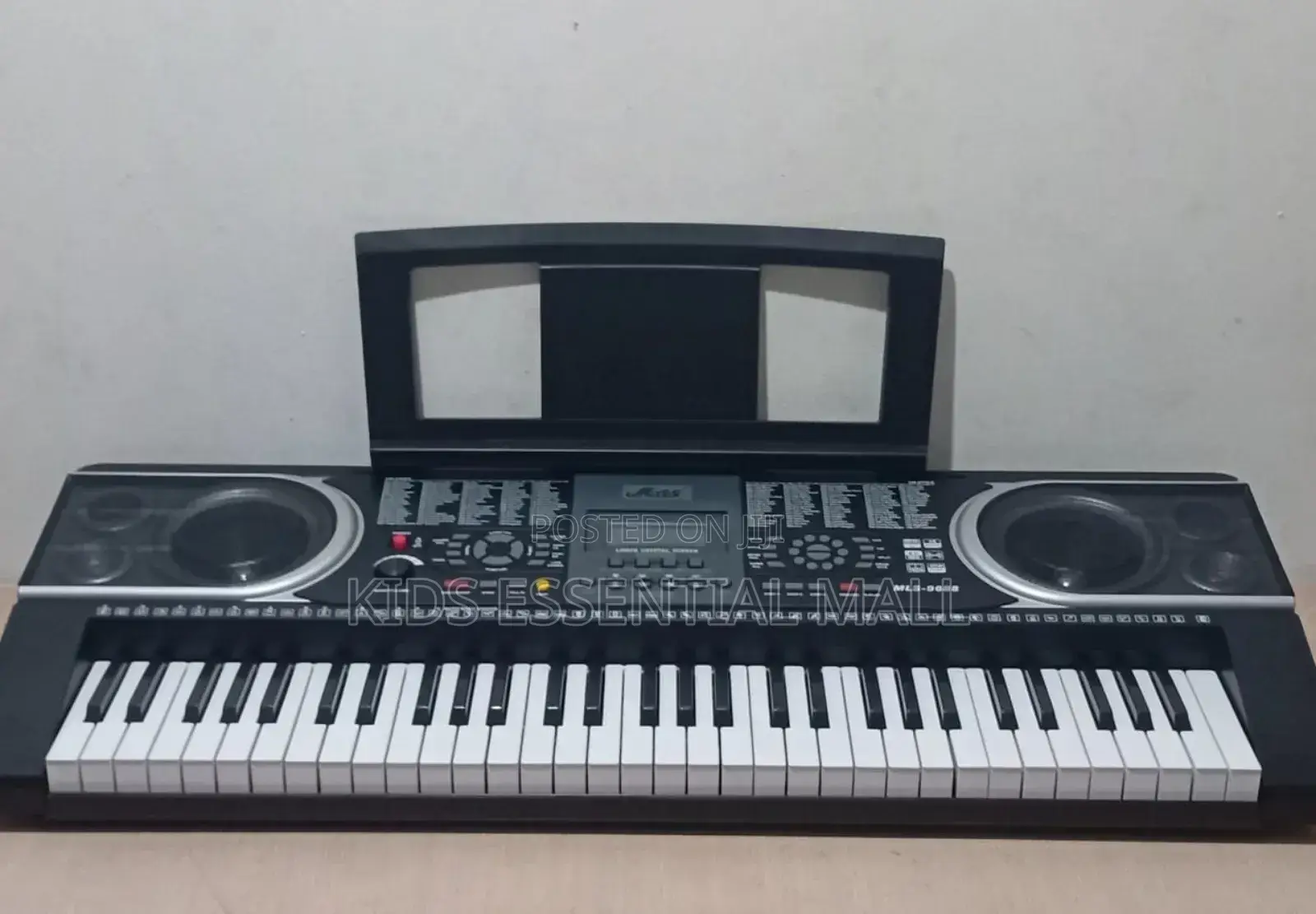 Professional Keyboard or Piano