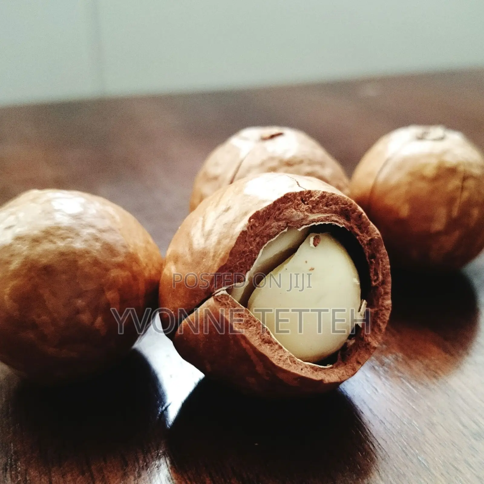 Macadamia Nut
