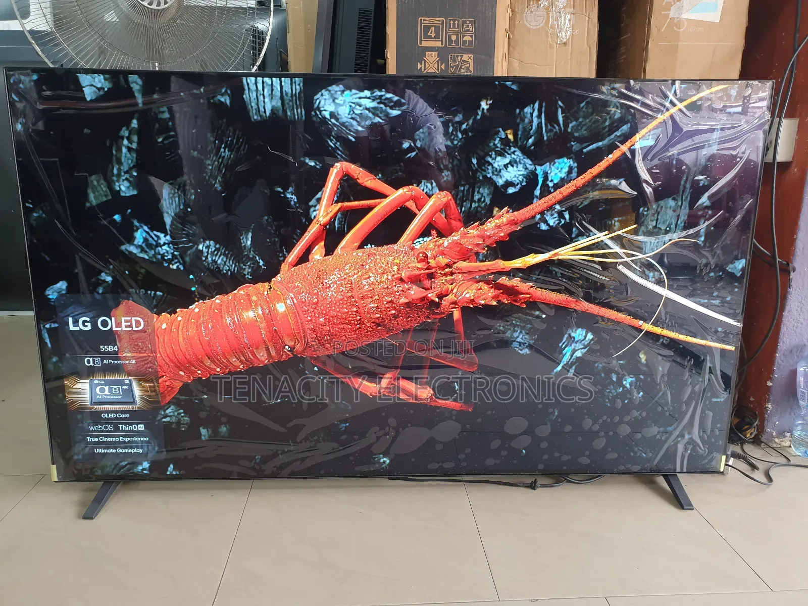 2024/25 Oled 55 Lg B4 Uhd HDR Smart Satellite Tv