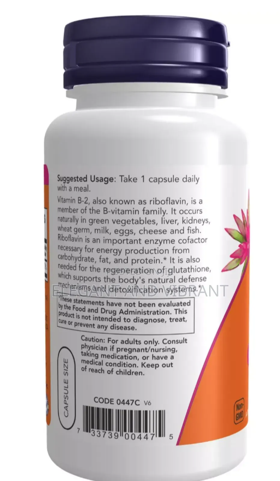 Vitamin B-2(Riboflavin)100mg ,Energy Metabolism Support