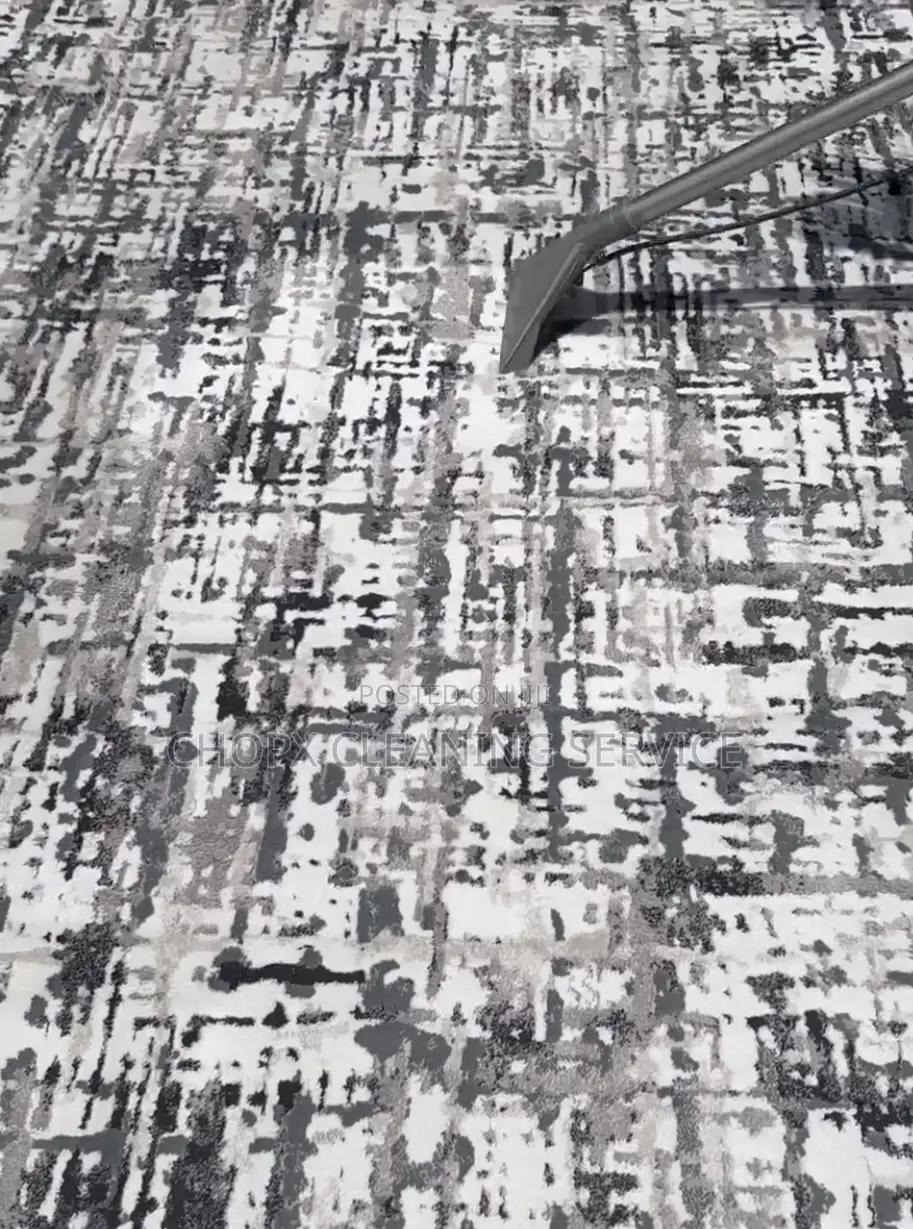 Professional Carpet Cleaning Services Deep Wash Fast Drying