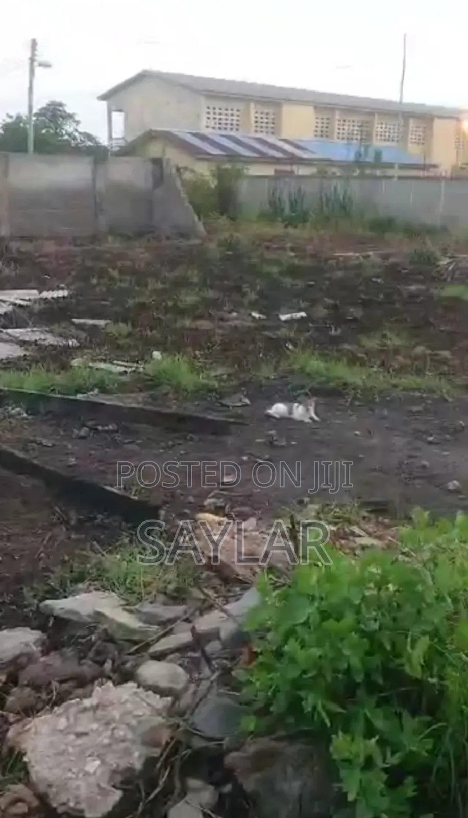 Suitable Half Plot Size for Sale Tema Comm11, Rama Down