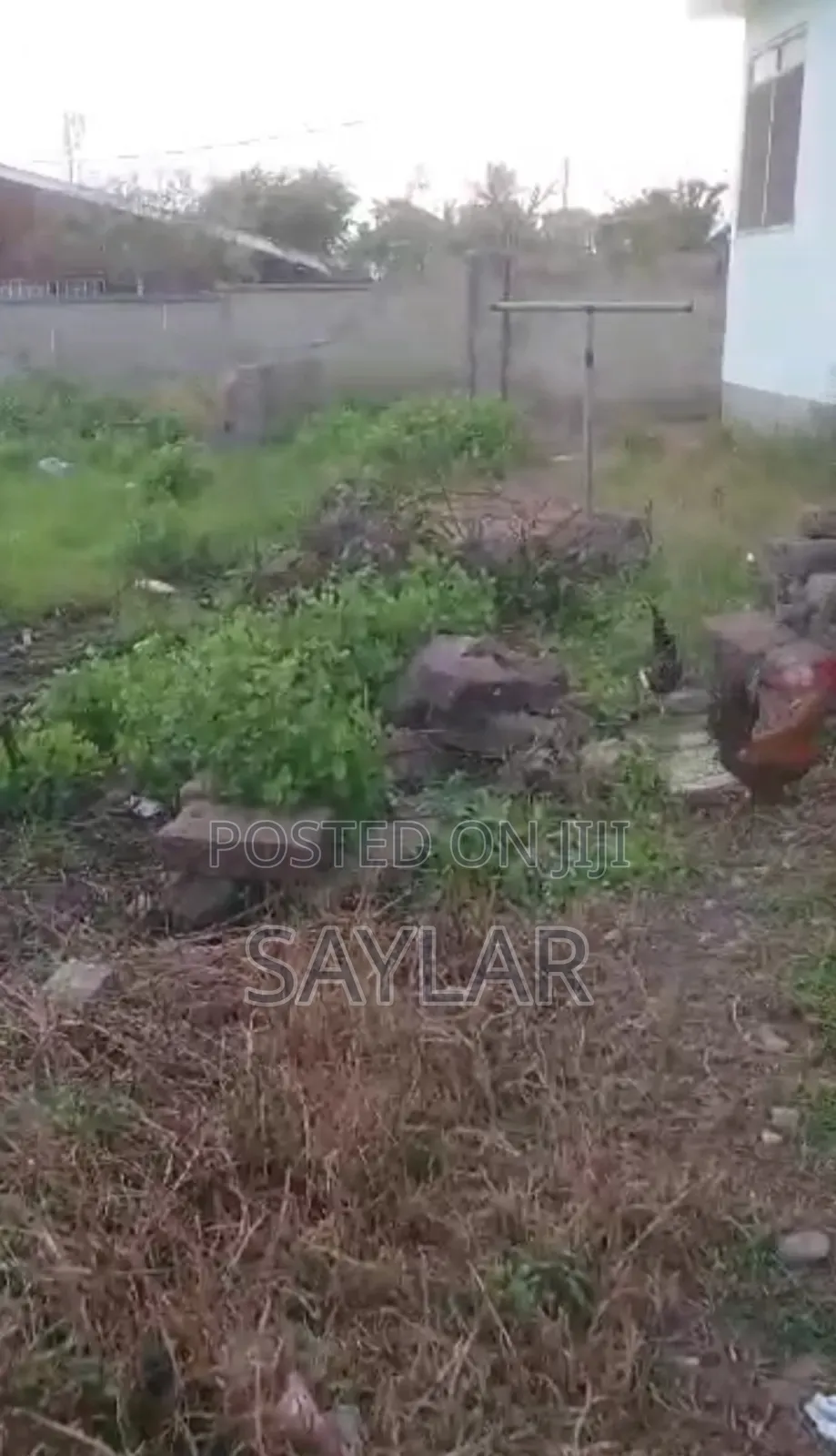 Suitable Half Plot Size for Sale Tema Comm11, Rama Down