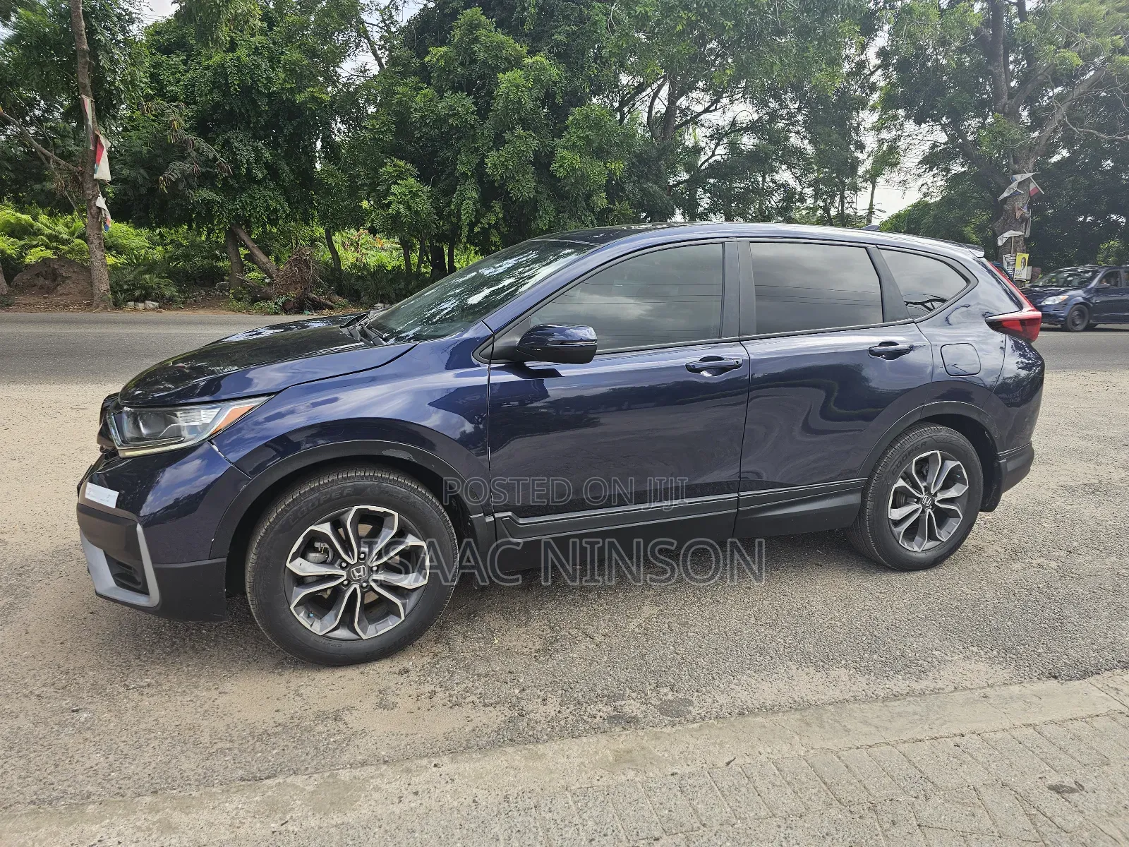 Car Rentals