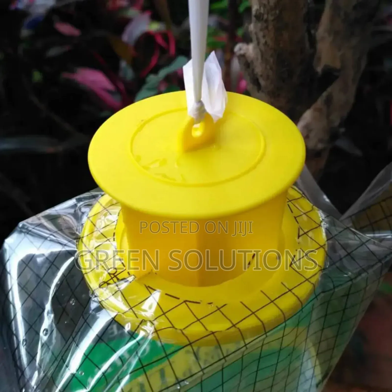 Houseflies Trap With Attractant