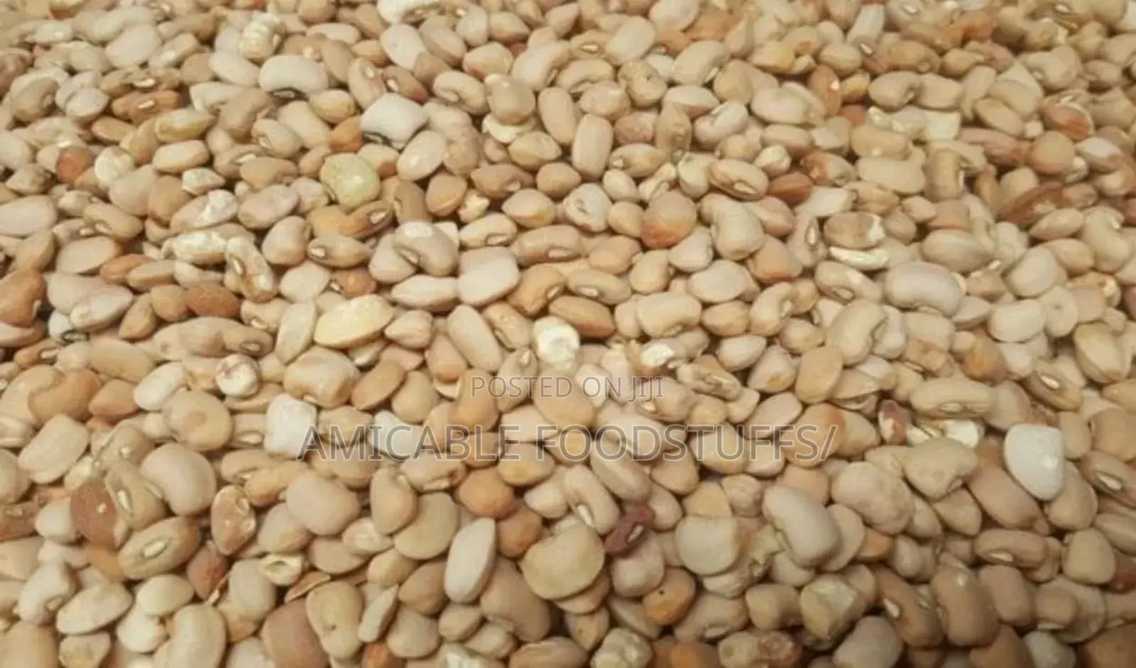 Nigerian Original Honey (Oloyin)Beans