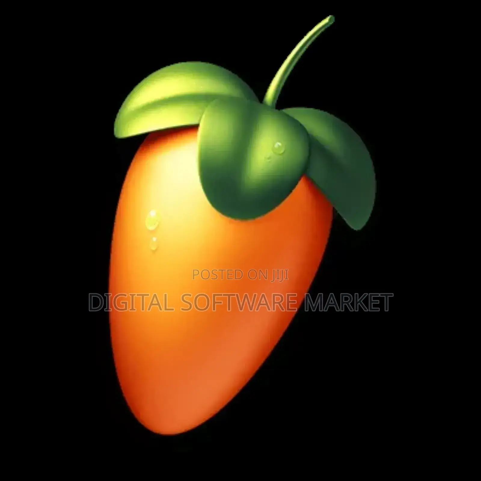 Fl Studio 2024+Flex Extension Windows