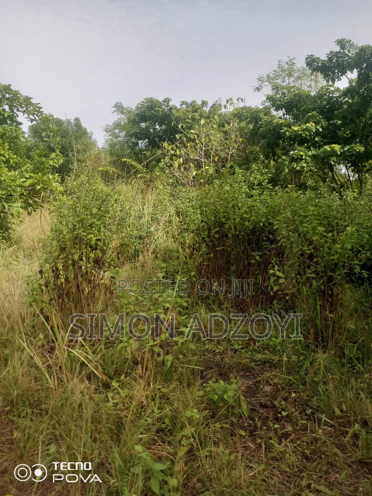 10,000 Acres Farmland for Sale
