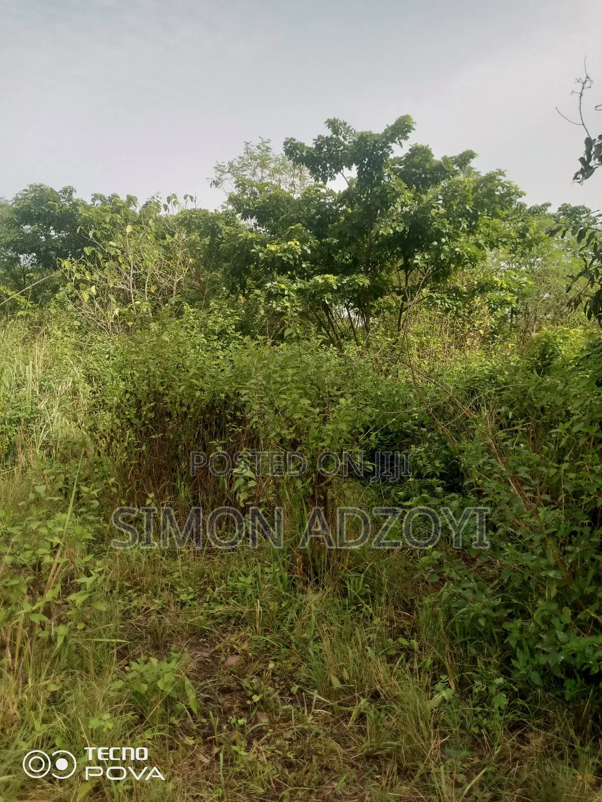 10,000 Acres Farmland for Sale