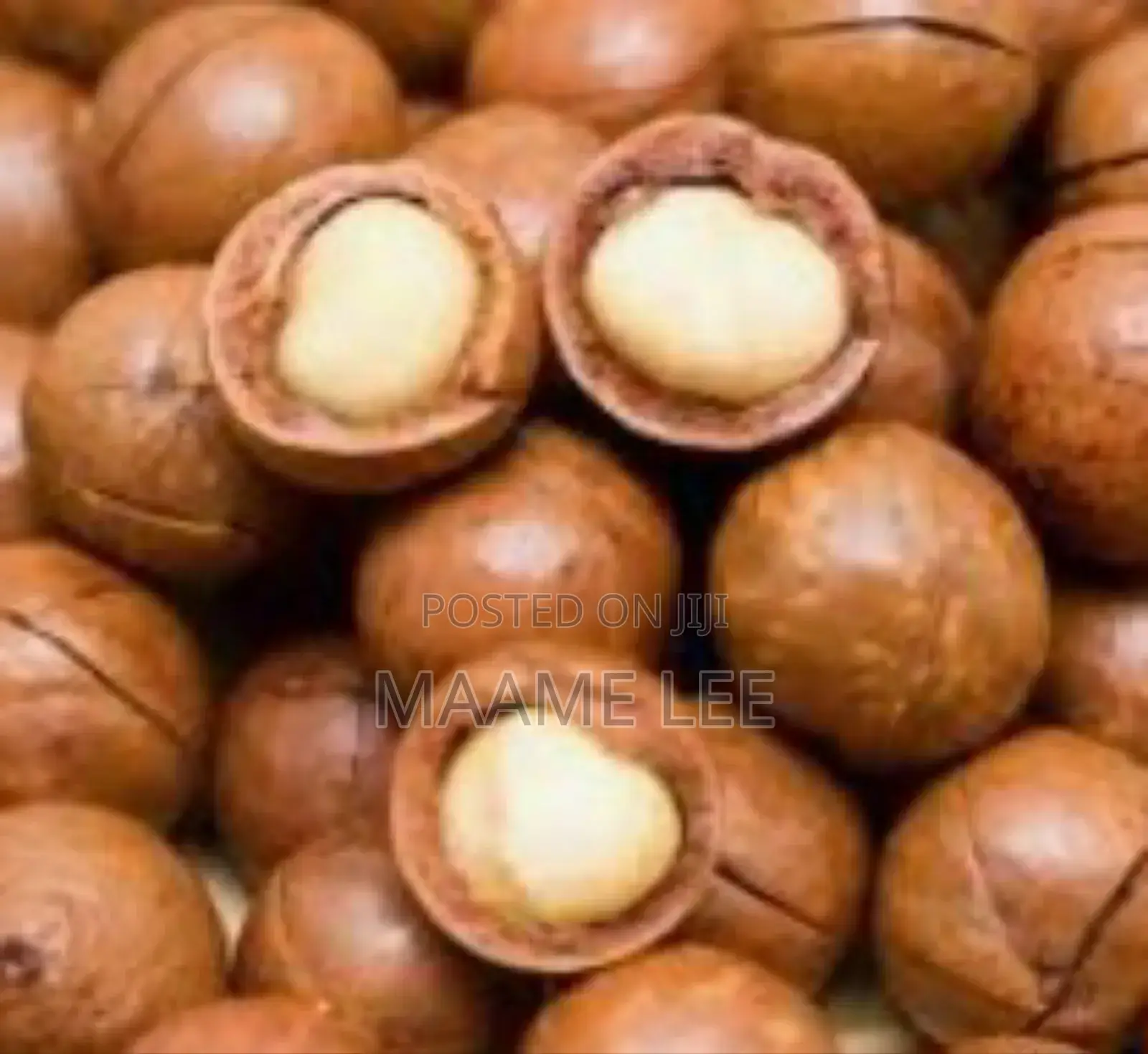 Macadamia Nut