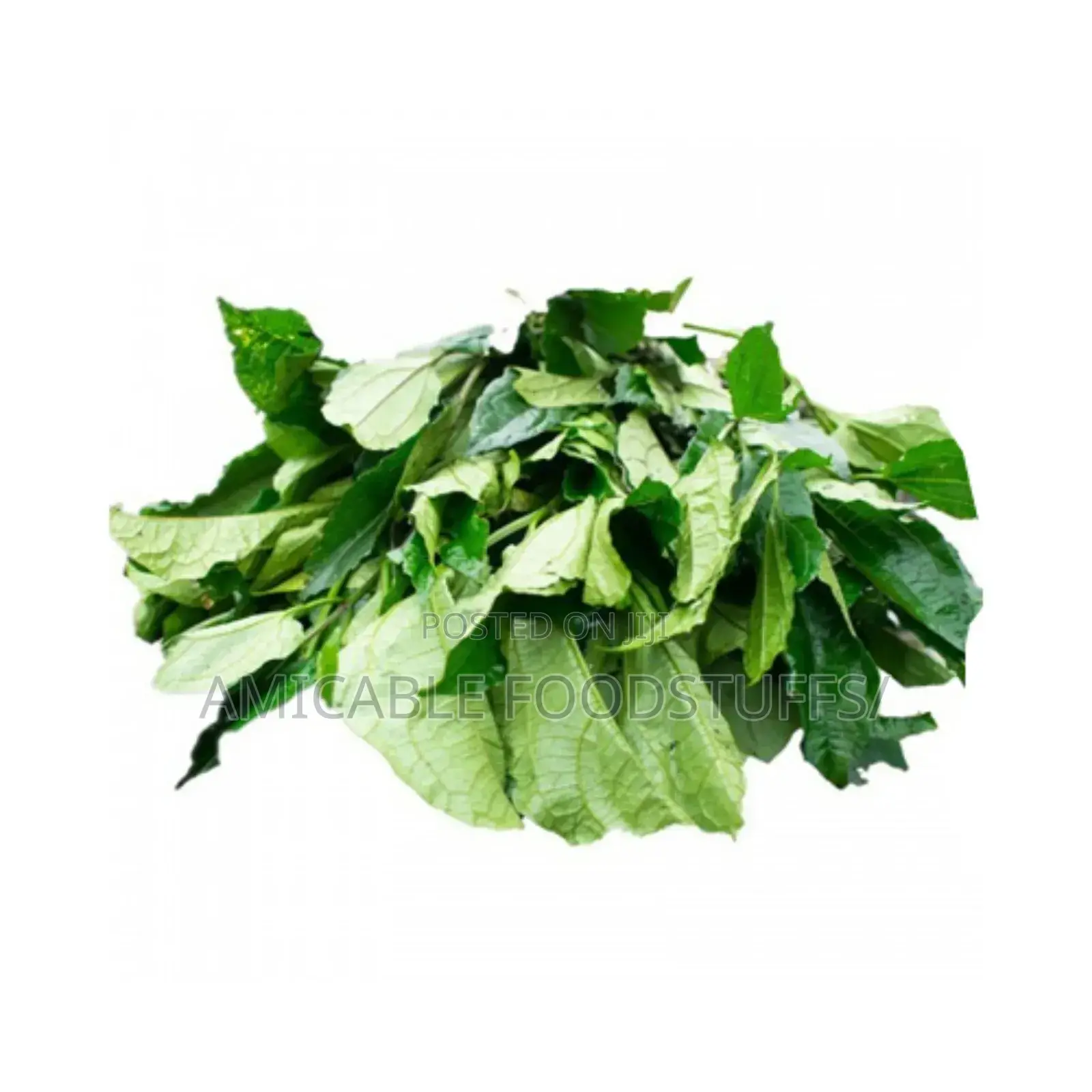 Ugu (Pumpkin) Leaf
