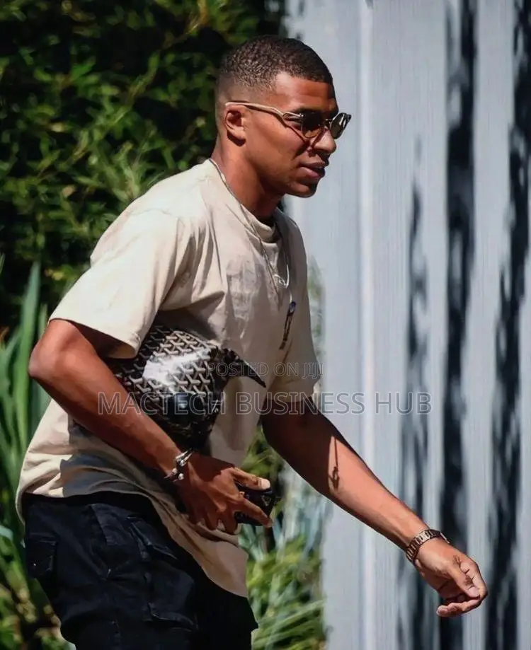Goyard Bag